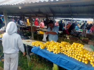 Pasar Mamolo, Bagaikan Pengemis yang Peduli
